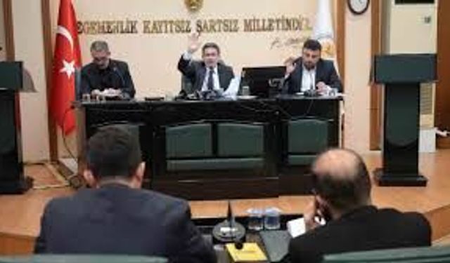 Samsun'da balaç'ı doğalgaza kavuşturacak imar planı değişikliği meclisten geçti