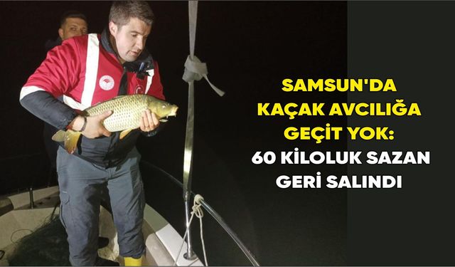 Samsun'da kaçak avlanan 60 kiloluk sazan geri salındı