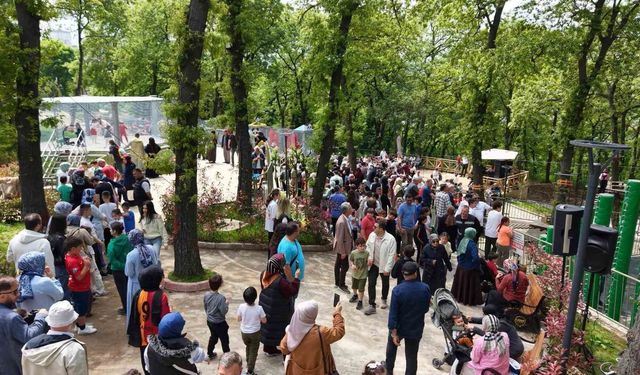 Samsun'da Karadeniz'in en büyük macera parkı açıldı