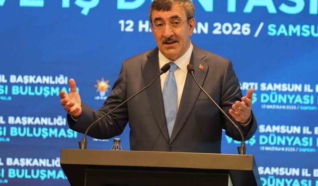 Cumhurbaşkanı Yardımcısı Cevdet Yılmaz, 'Her türlü riske karşı ülkemizi hazırlıyoruz'