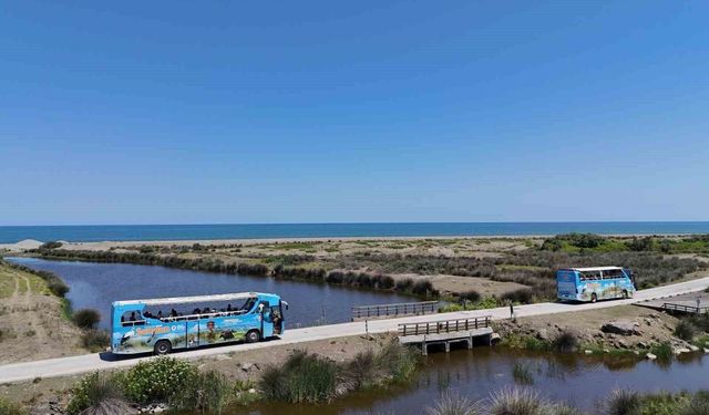 'ODAK Samsun' otobüsleri seferlerine başlıyor
