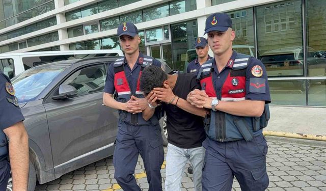 Televizyon hırsızlığı zanlısı, jandarma ekiplerince yakalandı