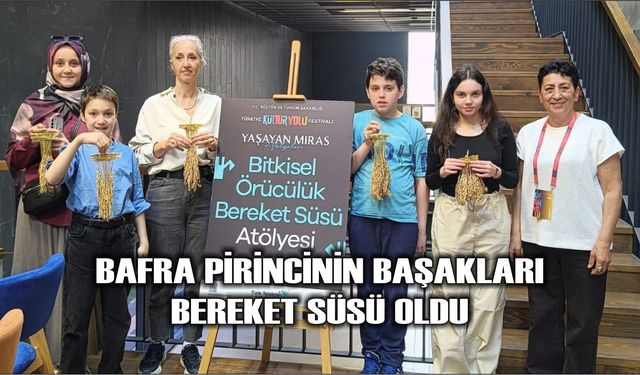 Bafra pirincinin başakları bereket süsü oldu