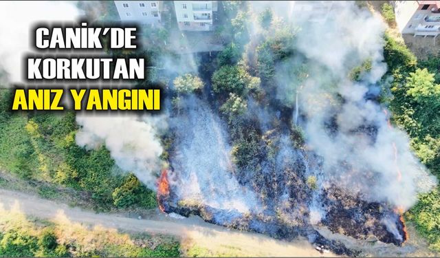 Canik'de korkutan anız yangını