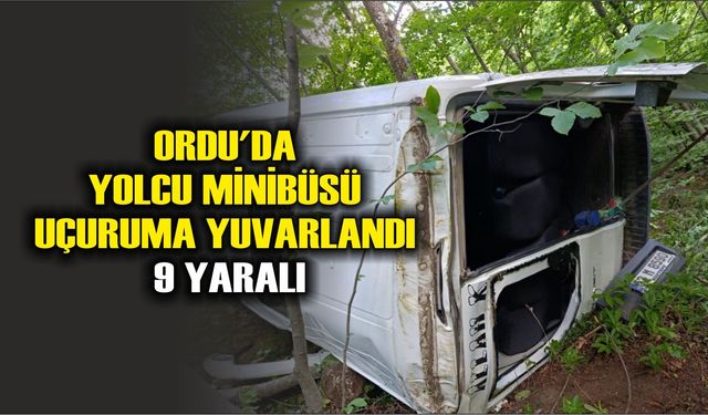 Ordu'da yolcu minibüsü uçuruma yuvarlandı: 9 yaralı