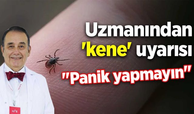 Uzmanından 'kene' uyarısı: 'Panik yapmayın'