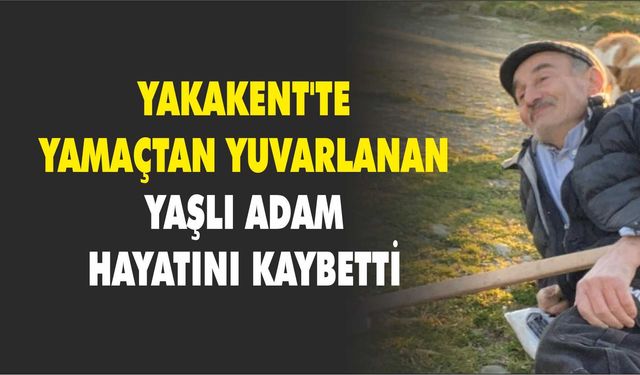 Yakakent'te yamaçtan yuvarlanan yaşlı adam hayatını kaybetti