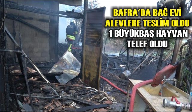 Bafra'da bağ evi alevlere teslim oldu: 1 büyükbaş hayvan telef oldu