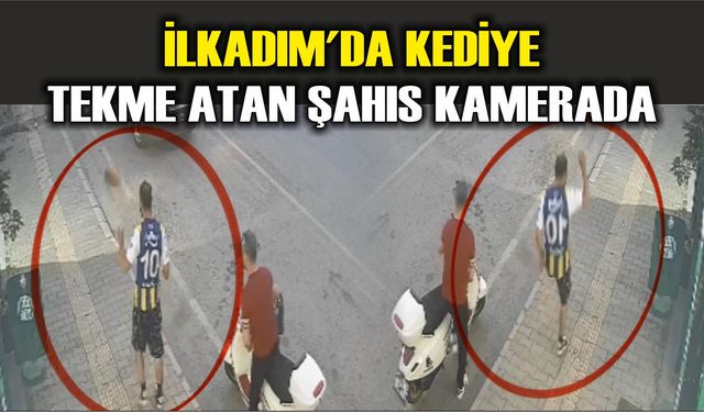 İlkadım'da kediye tekme atan şahıs kamerada
