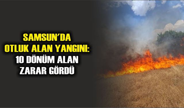 Canik'de otluk alan yangını: 10 dönüm alan zarar gördü