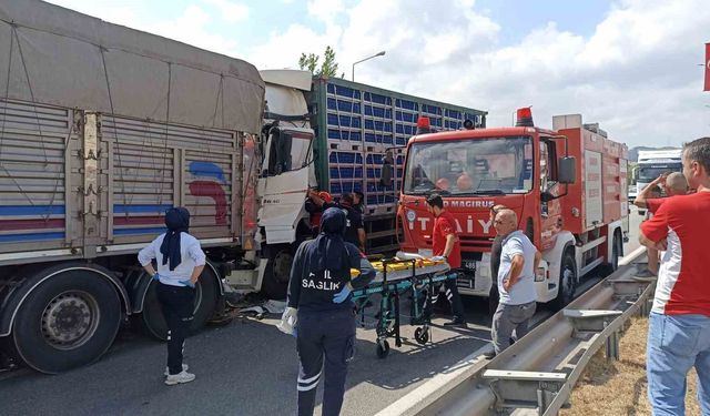 Havza'da tavuk yüklü tır, önündeki kamyona çarptı: 2 yaralı