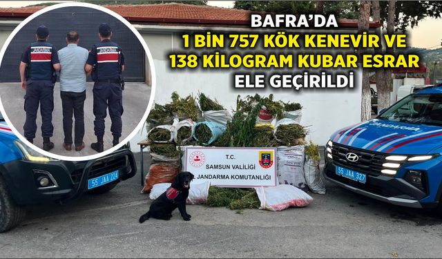 BAFRA’DA 1 BİN 757 KÖK KENEVİR VE 138 KİLOGRAM KUBAR ESRAR ELE GEÇİRİLDİ