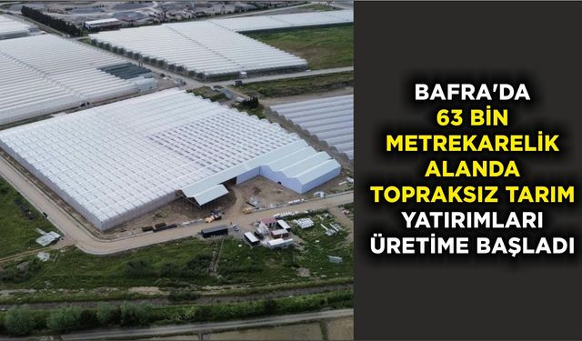 Bafra'da 63 bin metrekarelik alanda topraksız tarım yatırımları üretime başladı