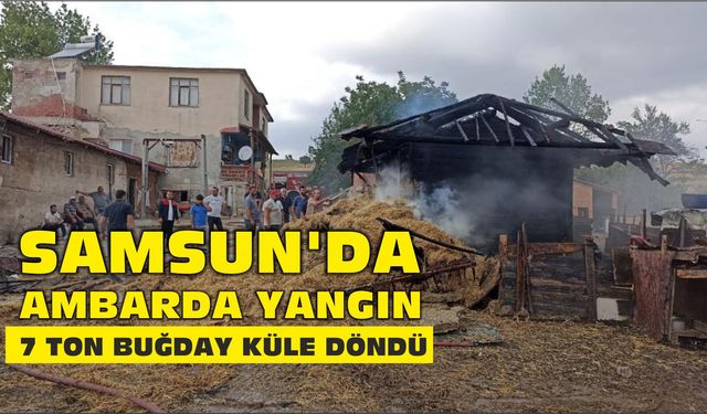 Samsun'da ambarda yangın: 7 ton buğday küle döndü