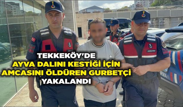 Tekkeköy'de ayva dalını kestiği için amcasını öldüren gurbetçi yakalandı