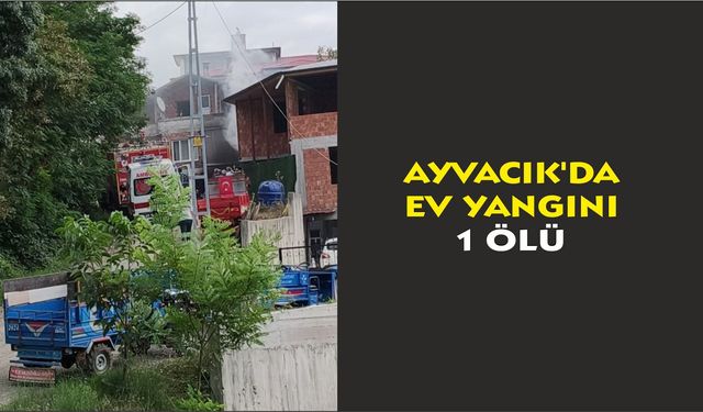 Ayvacık'da ev yangını: 1 ölü