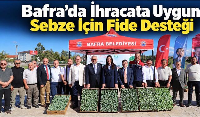 Bafra’da İhracata Uygun Sebze İçin Fide Dağıtıldı