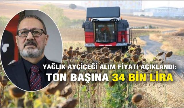 Yağlık ayçiçeği alım fiyatı açıklandı: Ton başına 34 bin lira
