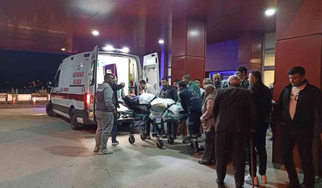 Havza'da ağabeyini tüfekle vurdu