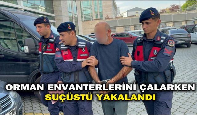 Orman envanterlerini çalarken suçüstü yakalandı