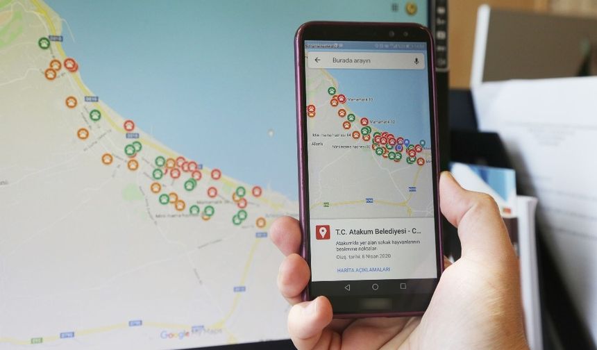Sokak canlıları için Atakum’dan dijital besleme noktaları haritası
