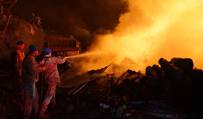 Yangında 2 ev yandı: 22 büyükbaş hayvan feci şekilde can verdi