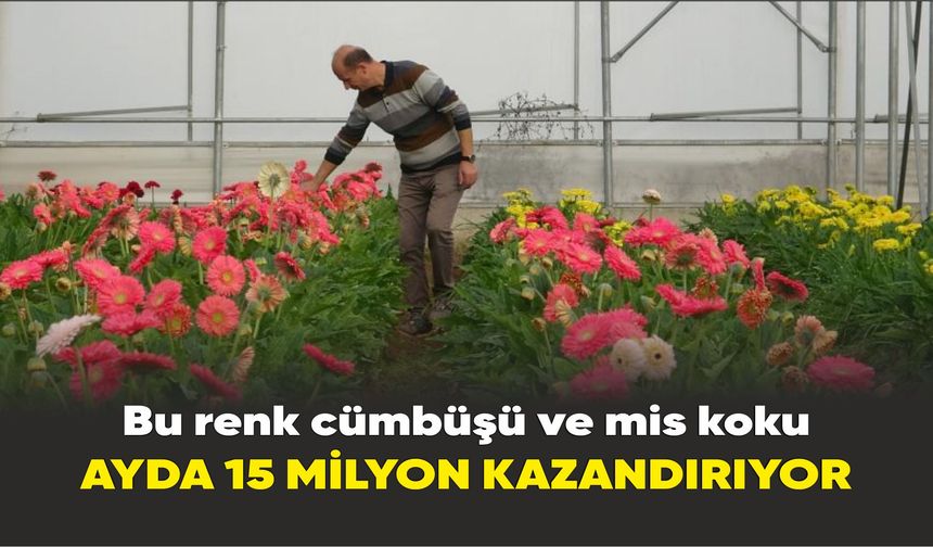 Serada üretilen çiçeklerden ayda 15 milyon lira kazanç