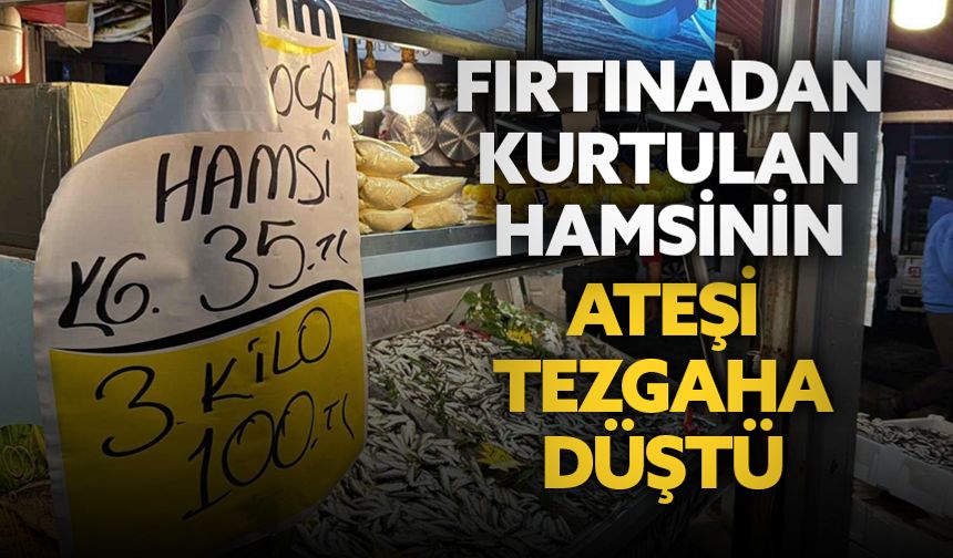Fırtınadan kurtulan hamsinin ateşi tezgahta düştü