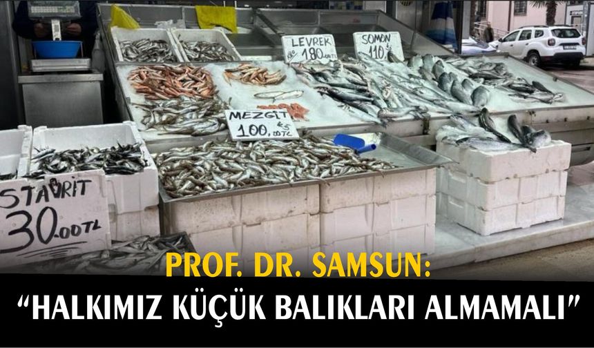 Prof. Dr. Samsun: “Halkımız küçük balıkları almamalı”