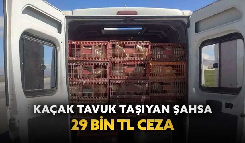Afyonkarahisar’da kaçak tavuk taşıyan şahsa 29 bin TL ceza