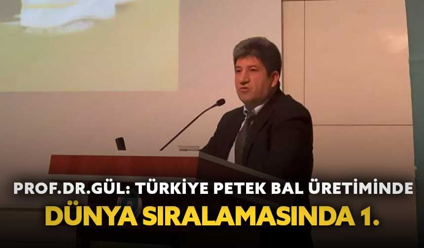 Prof. Dr. Gül: "Türkiye Petek Bal üretiminde dünya sıralamasında 1. sırada"