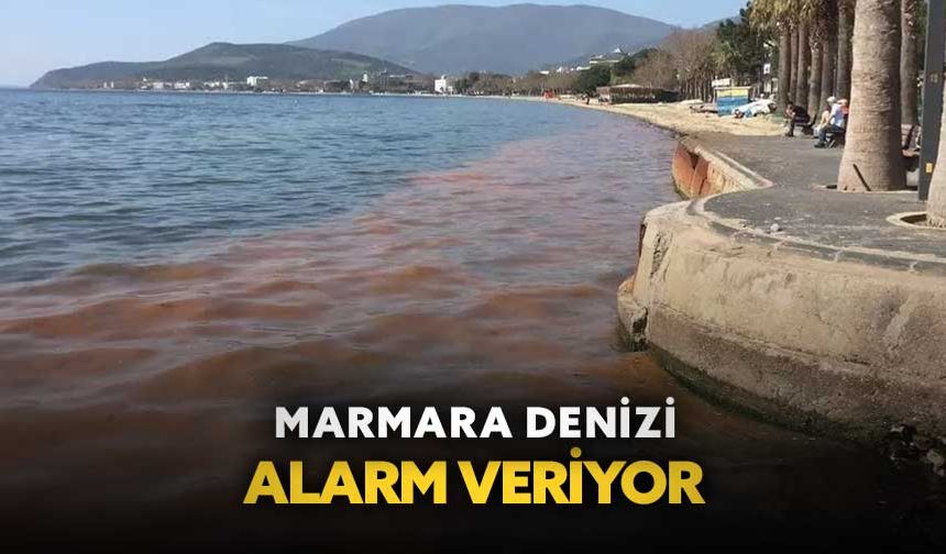 Marmara Denizi alarm veriyor