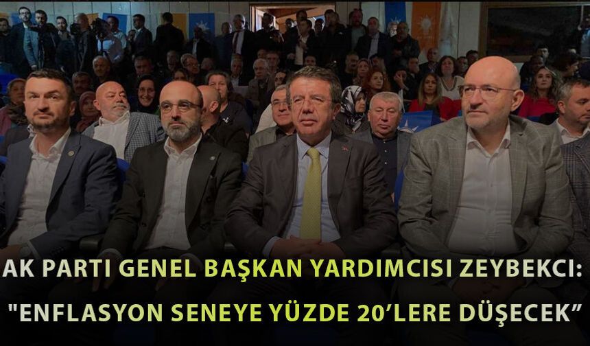 AK Parti Genel Başkan Yardımcısı Zeybekci: "Enflasyon seneye yüzde 20’lere düşecek”