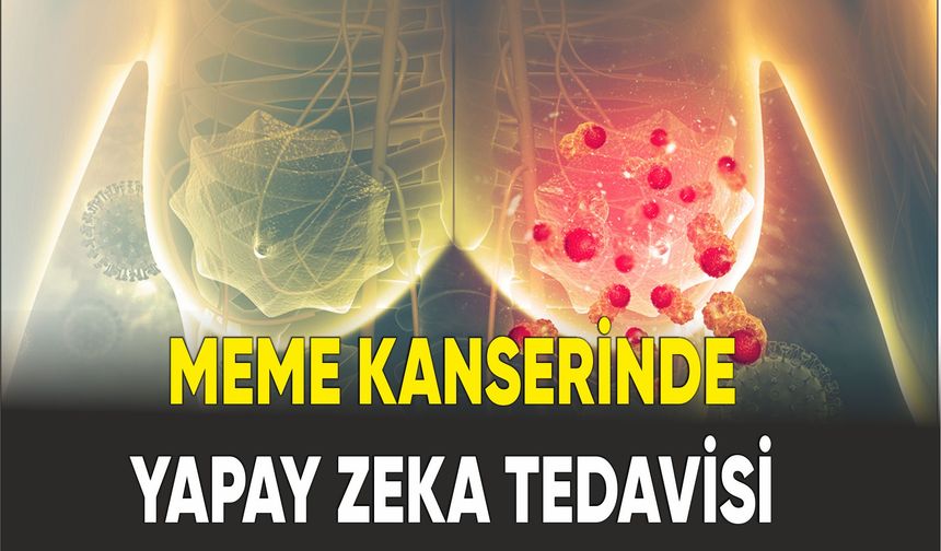Yapay zeka ile meme kanserinde kişiye özel tedavi uygulanabilecek