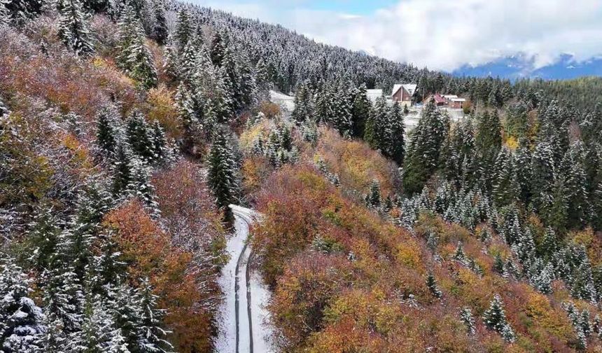 Artvin’de Sonbahardan Kışa Doğanın Renkli Geçişi