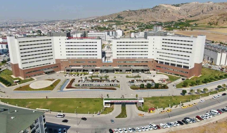 Kuduz Can Aldı: 9 Yaşındaki Çocuk Hayatını Kaybetti