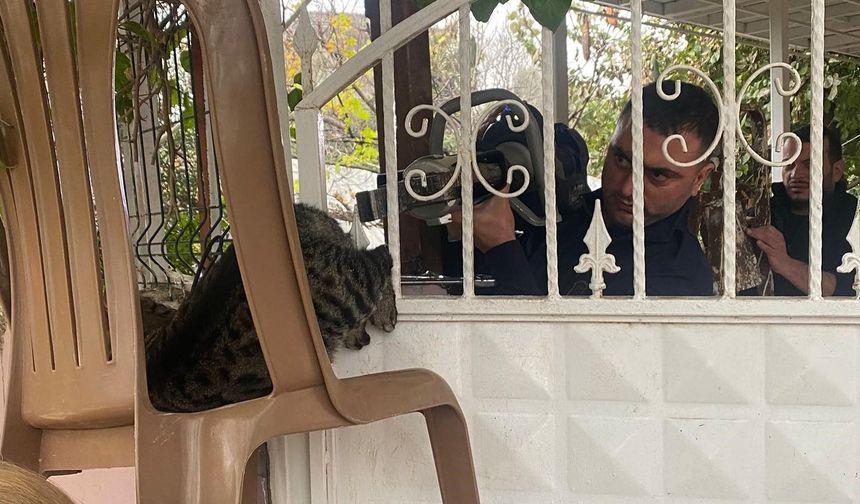 Hatay’da Patisi Sıkışan Kedi Kurtarıldı