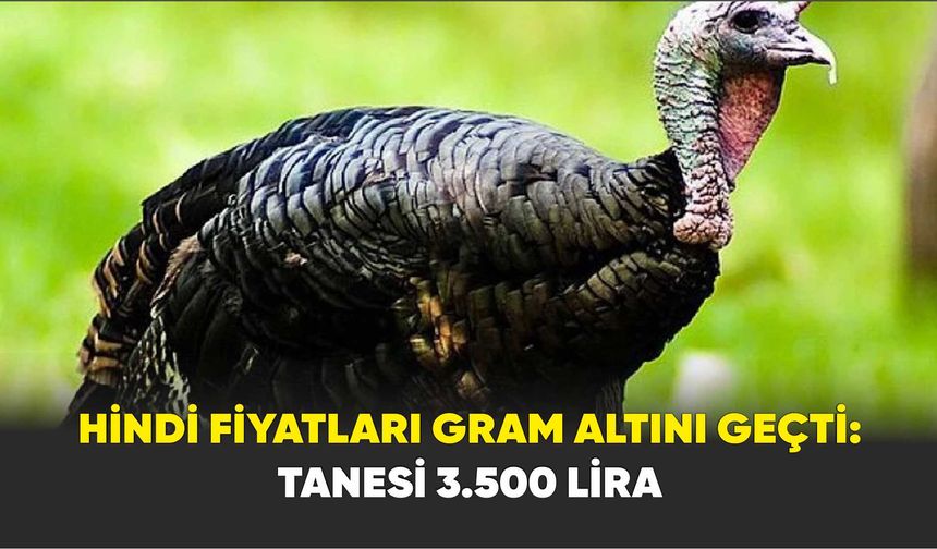 Hindi fiyatları gram altını geçti: Tanesi 3.500 Lira