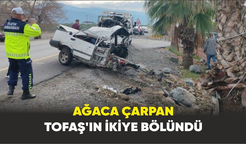 Feci kaza; Ağaca Çarpan Otomobil İkiye Bölündü