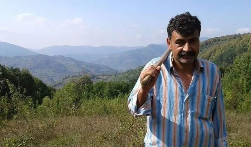Bartın’da Orman İşçisi Kestiği Ağacın Altında Kalarak Hayatını Kaybetti