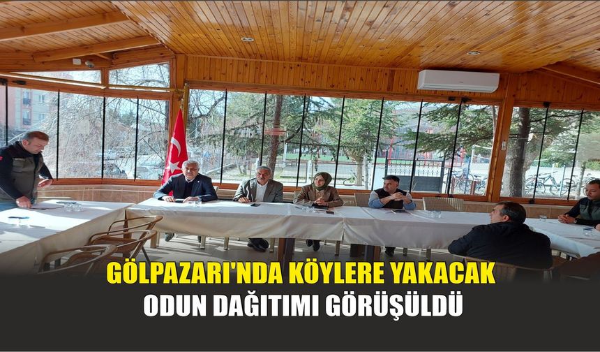 Gölpazarı'nda Köylere Yakacak Odun Dağıtımı Görüşüldü