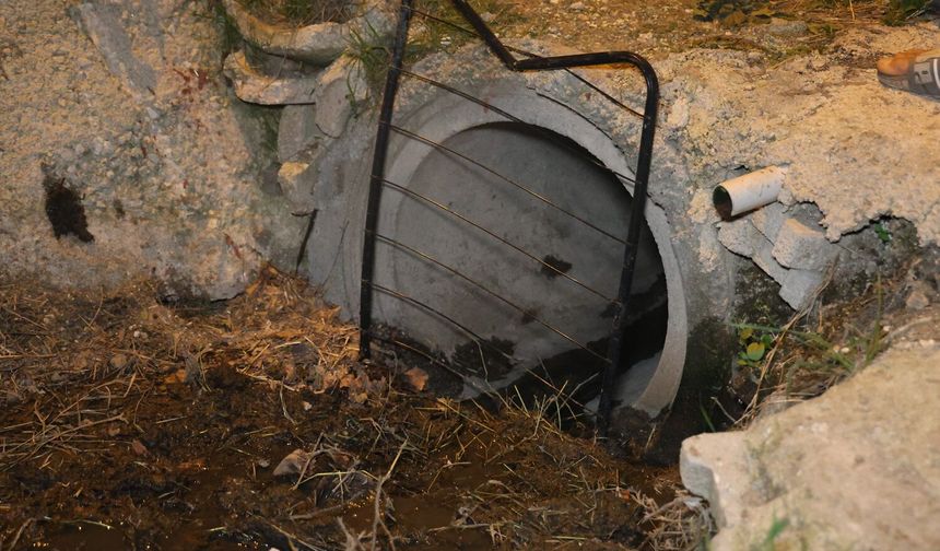 Hatay’da Kanalizasyon Borusuna Sıkışan Buzağı İtfaiye Ekiplerince Kurtarıldı
