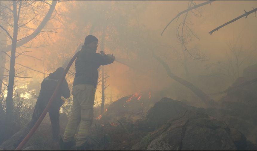 Antalya’da Orman Yangını: Yüksek Gerilim Hattı Alevlere Yol Açtı!