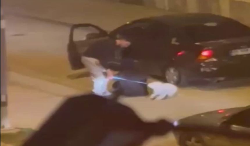 Polatlı’da Saldırı: Genç Kız Kaçırılmak İstendi, Köpeği Tekmelendi!