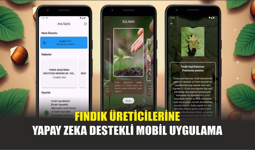 Fındık Üreticilerine Yapay Zeka Destekli Mobil Uygulama