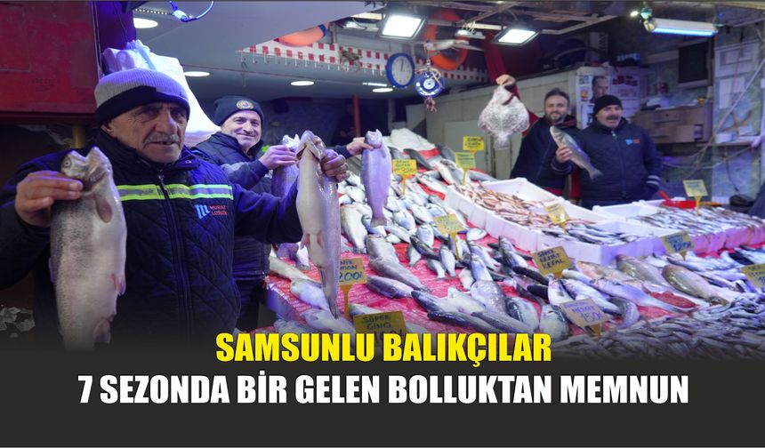 Samsunlu Balıkçılar 7 Sezonda Bir Gelen Bolluktan Memnun