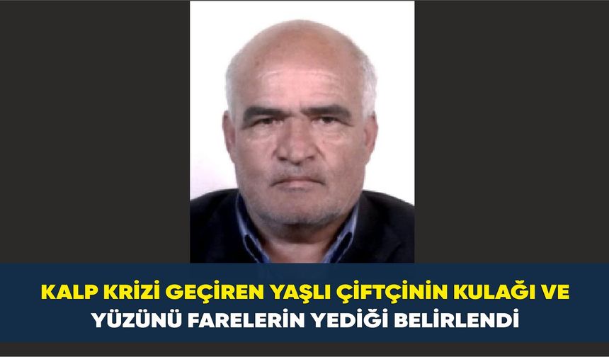Kesik kulak olayında katil fareler çıktı