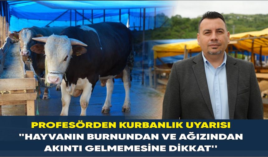Profesörden kurbanlık uyarısı: "Hayvanın burnundan ve ağızından akıntı gelmemesine dikkat''