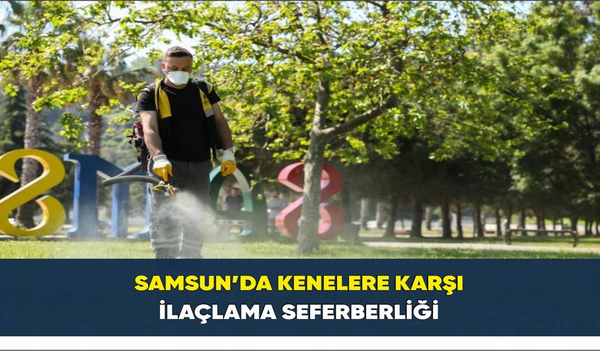 Samsun’da kenelere karşı ilaçlama seferberliği
