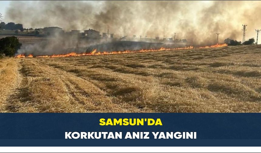 Samsun’da korkutan anız yangını
